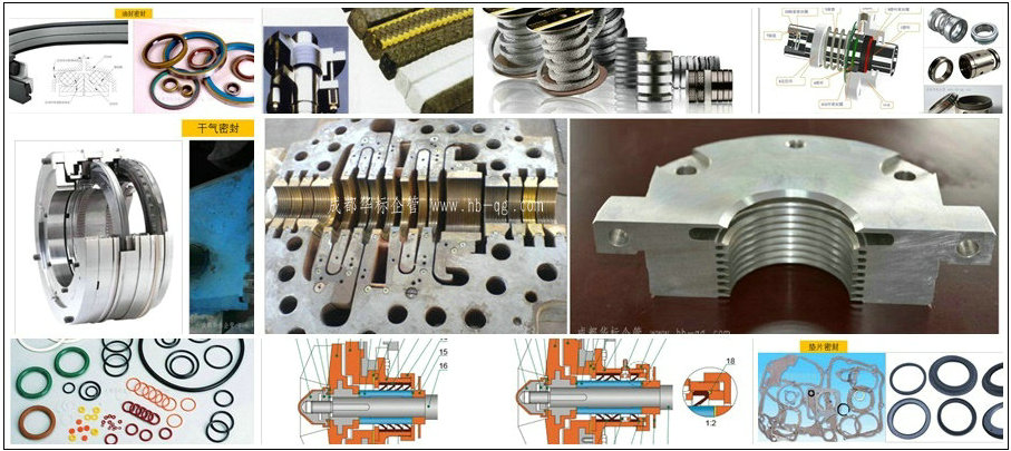 十種泵密封類(lèi)型的失效原因總結(jié)